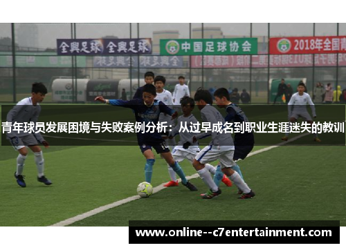 青年球员发展困境与失败案例分析：从过早成名到职业生涯迷失的教训