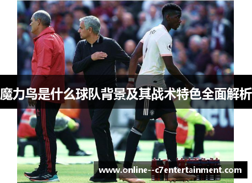 魔力鸟是什么球队背景及其战术特色全面解析